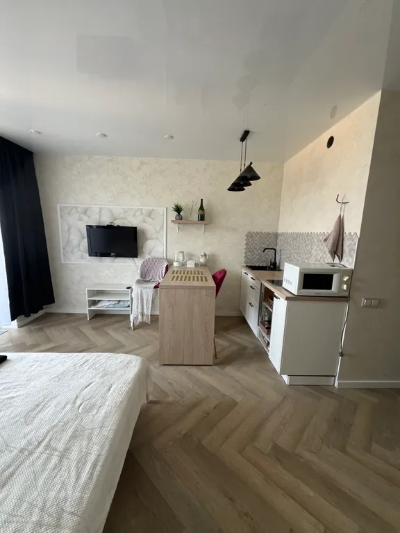 Квартира Квартира- студия с видом на пляж и лес — Котельники