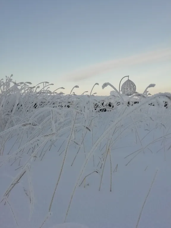 Дом в Заонежье с видом на озеро