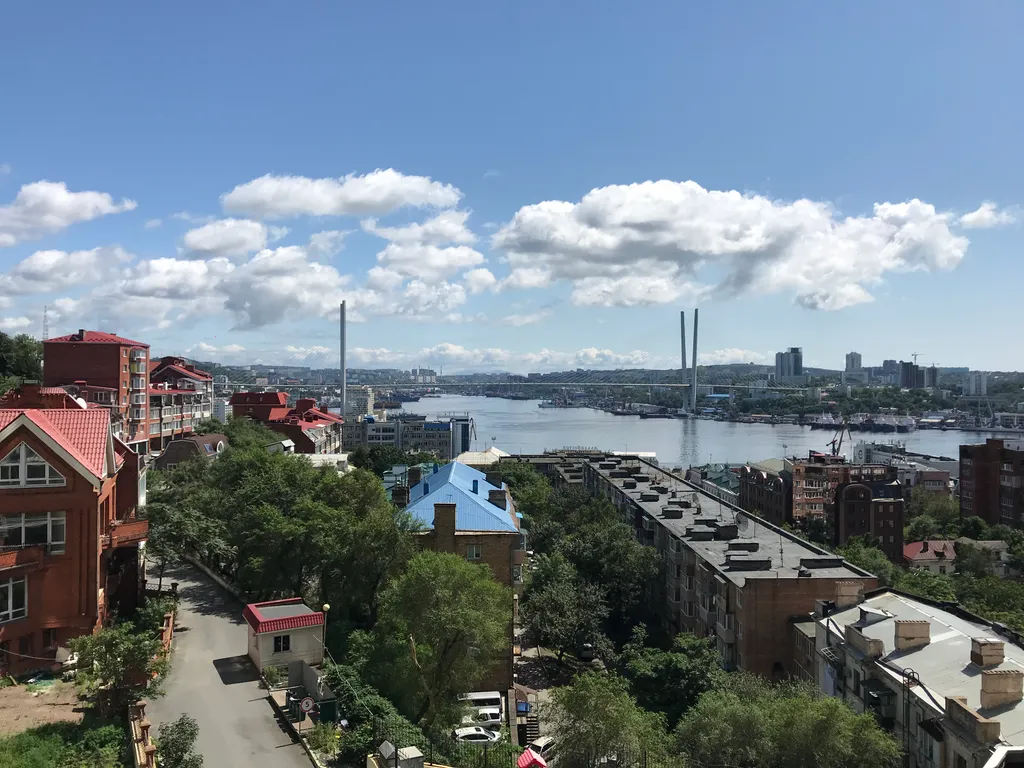 Квартира Апартаменты с видом на Золотой Рог, центр — Владивосток
