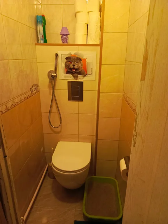 Квартира Комната — Санкт-Петербург