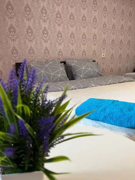 Квартира 1-комнатная большая квартира — Аша