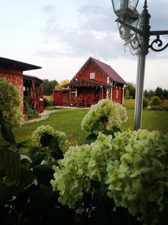 Загородный дом вдали от города