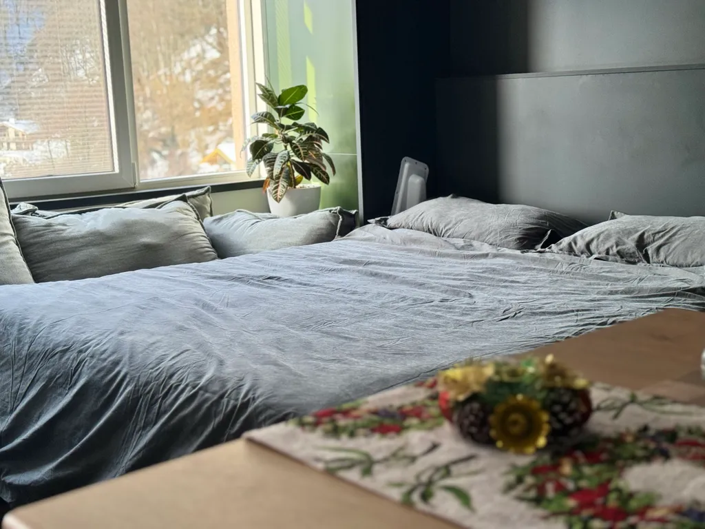 Студия с видом на озеро