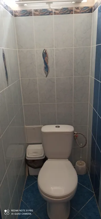 Сосновый бор