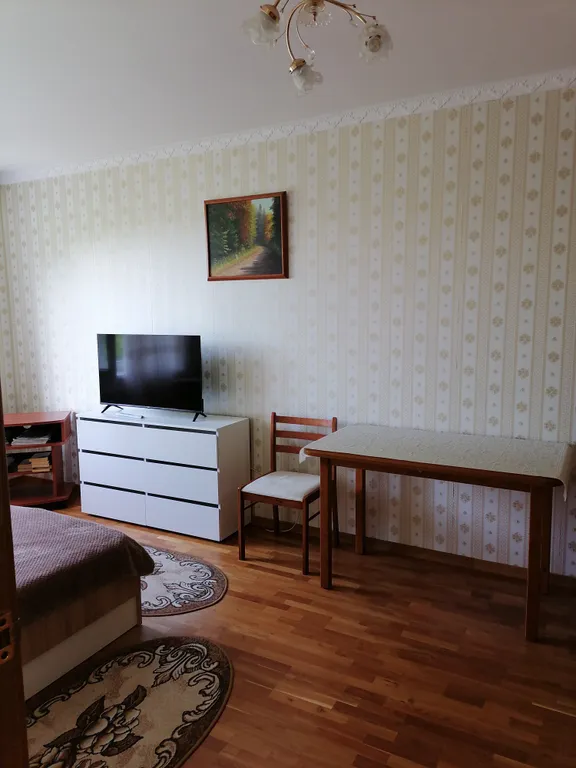 Квартира Уютная квартира в центре города — Пионерский