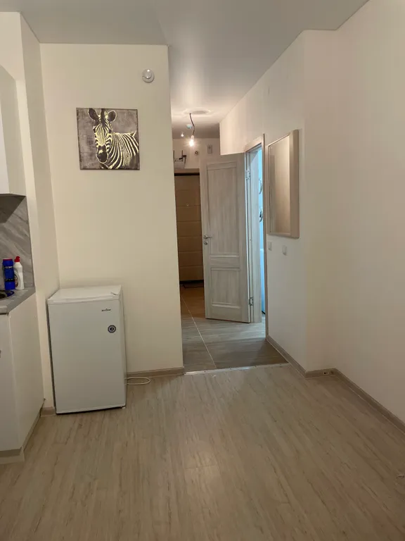 Студия жк анкудиновский парк