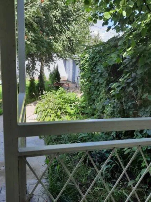 Коттедж Уютный пяти-спальный коттедж — Борзые