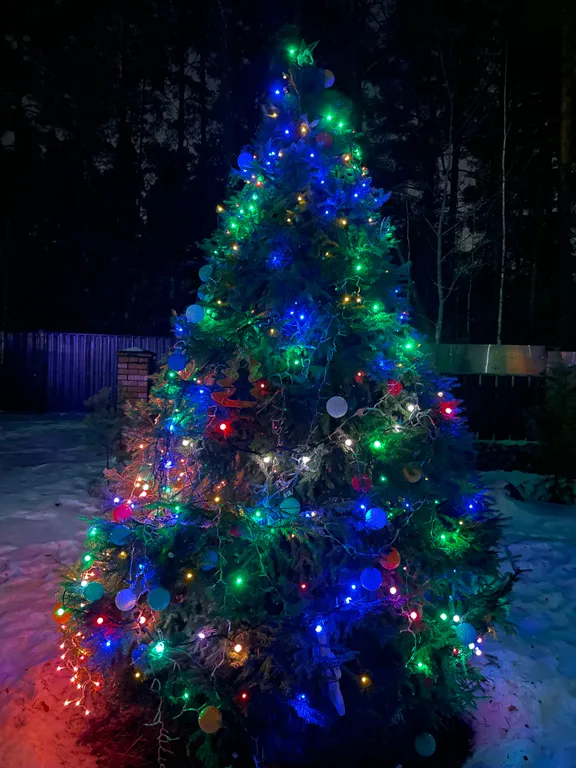 Коттедж Гостевой дом на берегу Финского залива в окружении соснового леса — Ключевое