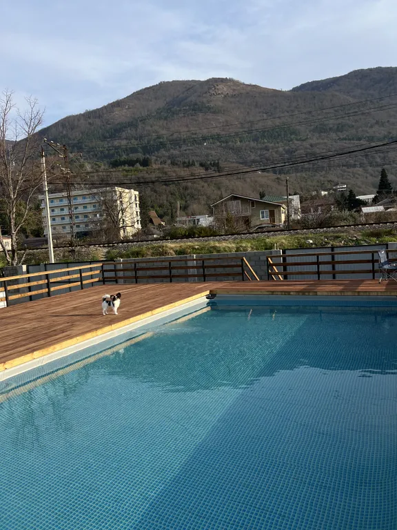 Квартира Комната — Гагра