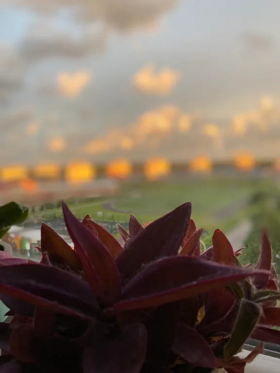 Просторная квартира