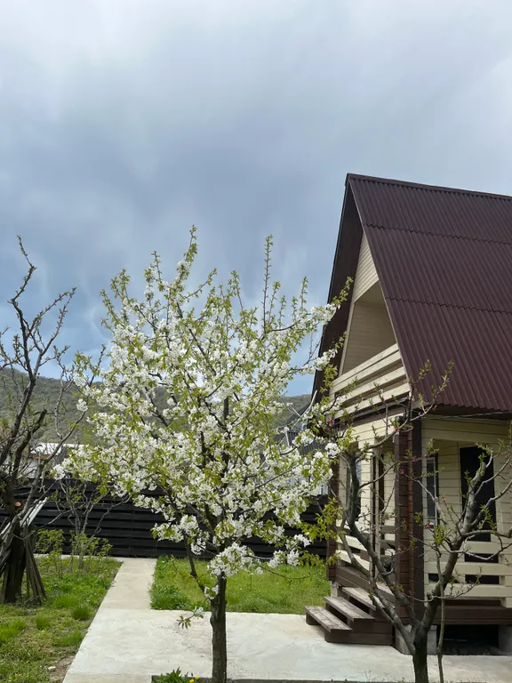 Эко Шале Лимон