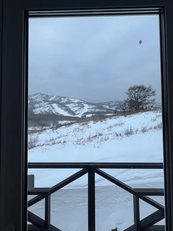 Новый таунхаус с шикарным видом на горнолыжный склон и лес