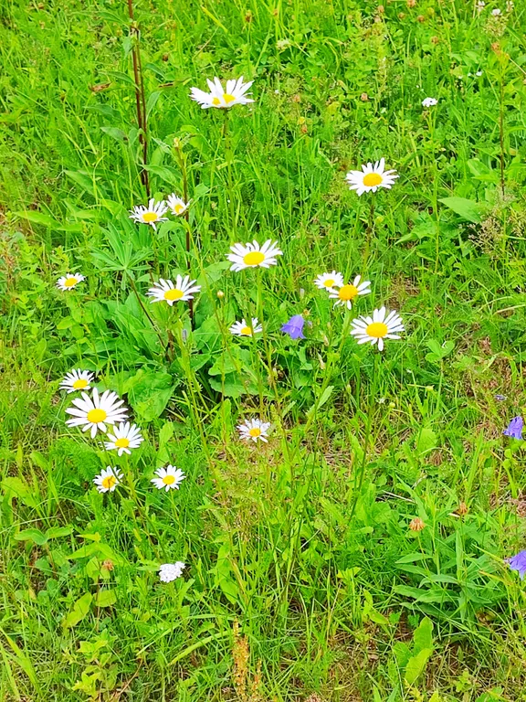 Домик в Токсово около озера