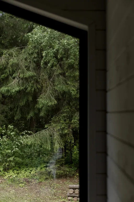 Современный дом в лесу