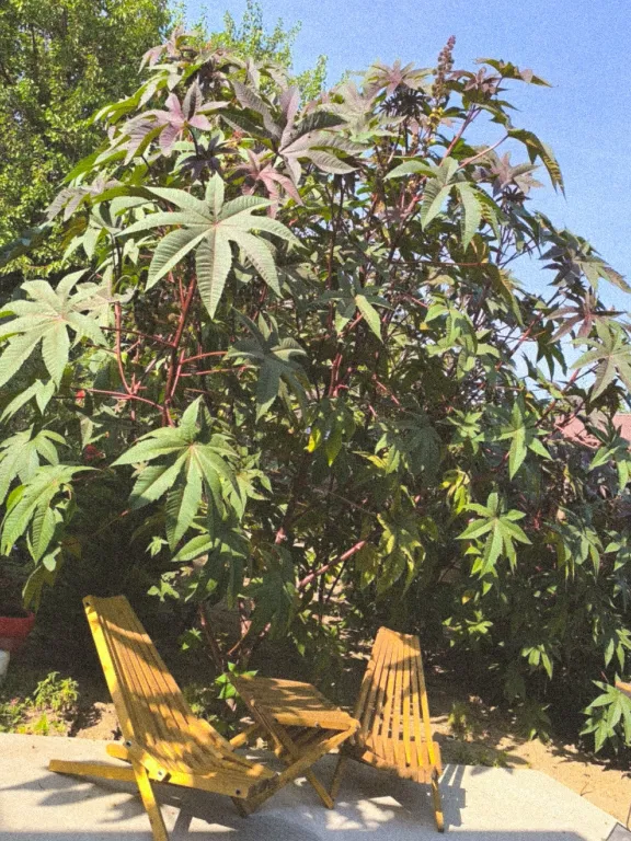 Тини хаус уютный домик на море