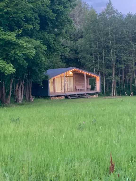 Дом с панорамными окнами в окружении леса