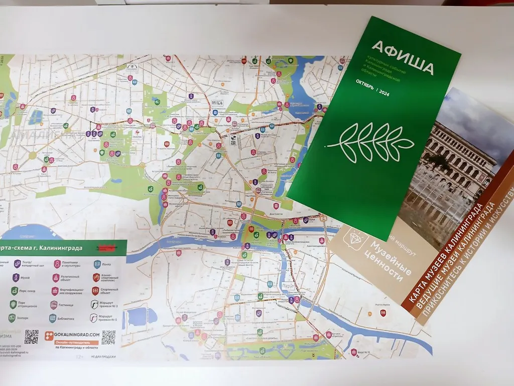 Квартира Новые 2-х местные апартаменты без кондиционера с кухней, амалиенау — Калининград