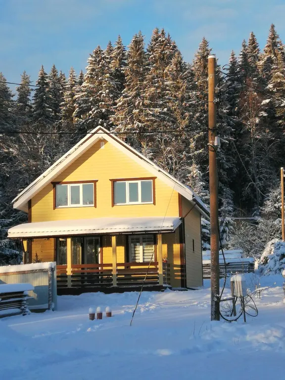 Уютный уголок у леса