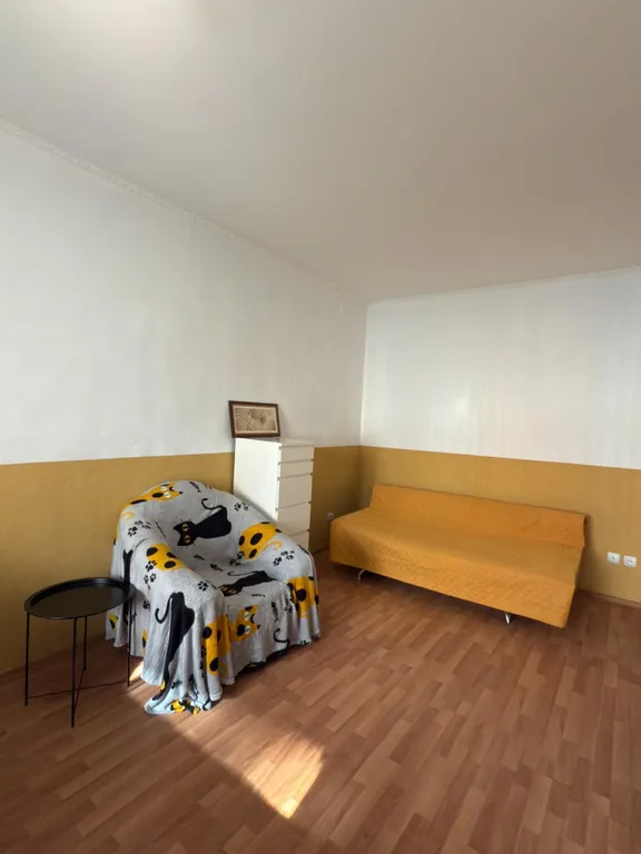 Уютная однокомнатная квартира