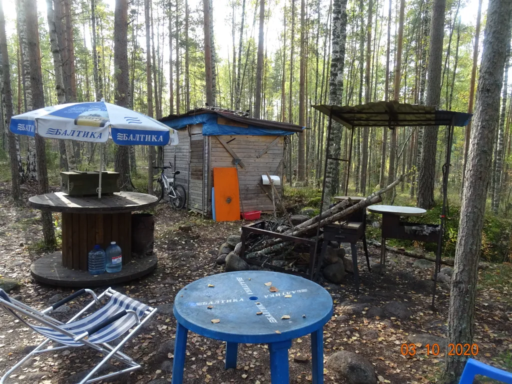 Хижина в лесу на берегу озера без соседей