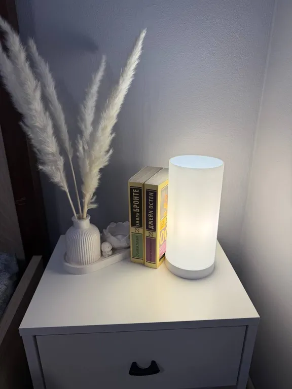 Большой дом для дружной компании