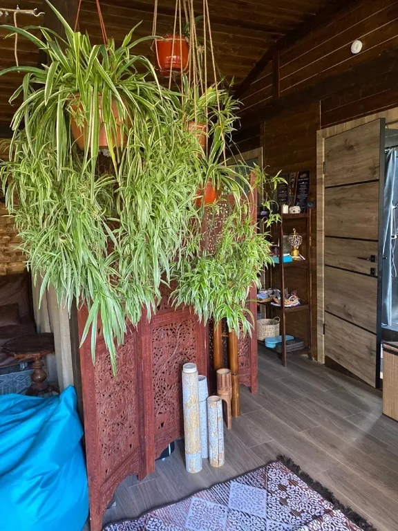 Большой дом