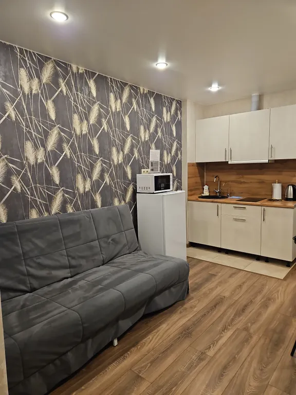 Улучшенная студия вблизи метро Парнас