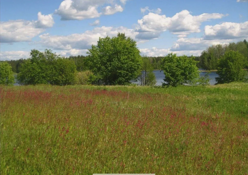 Уютный дом у сосен