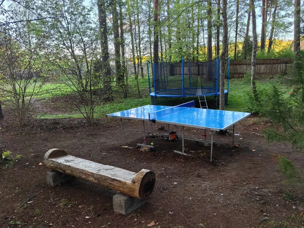 Коттедж Коттедж с баней, чаном и детской площадкой с батутом у озера, в бору — Ланино