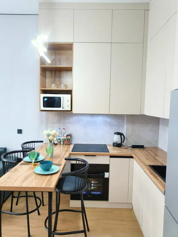 Стильная студия в центре рядом с Мегой