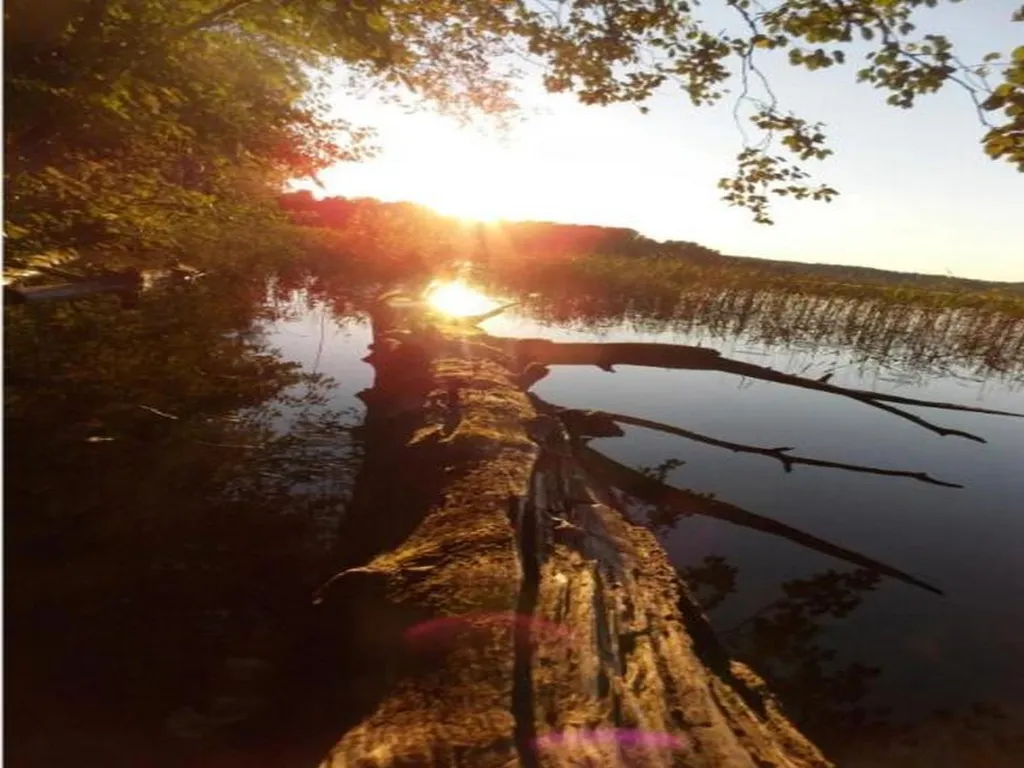 Заимка Остров: уютный домик для отдыха и рыбалки