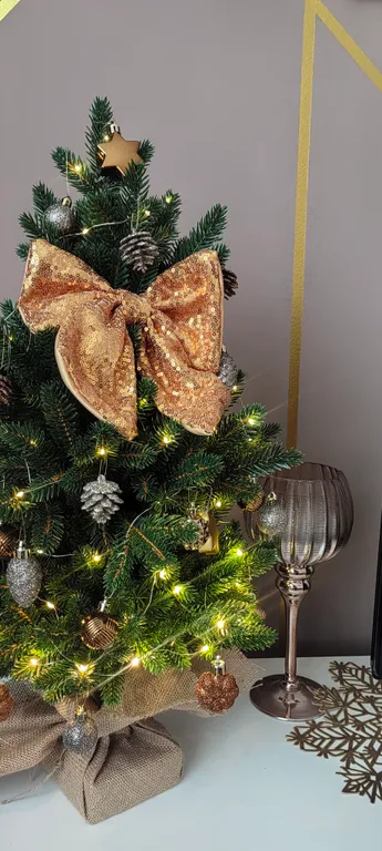 Уютная квартира с панорамным видом на Онего