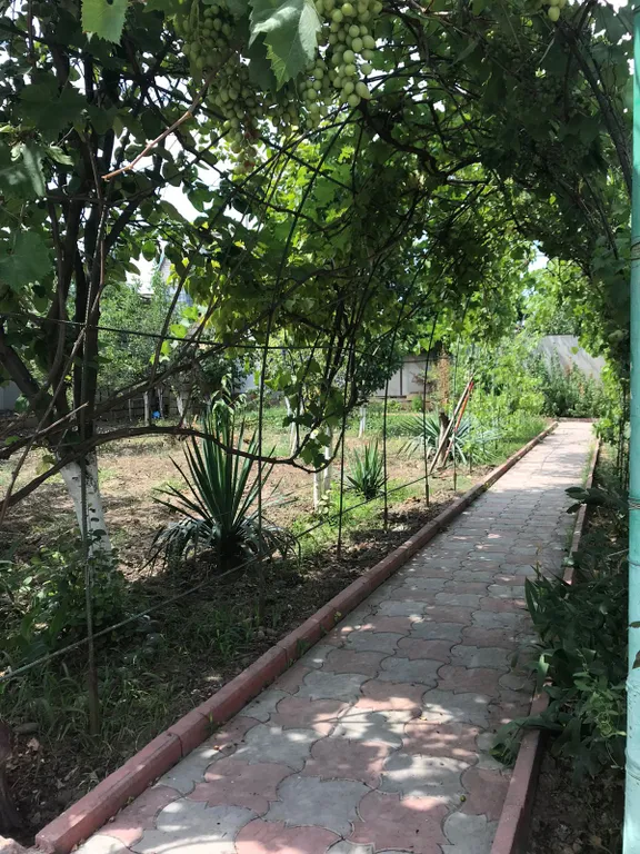 Дачный домик на берегу моря