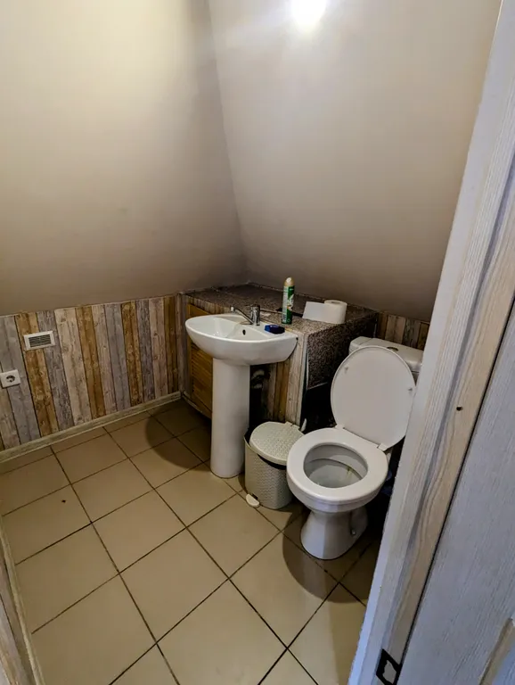 Большой красивый дом с камином в лесу