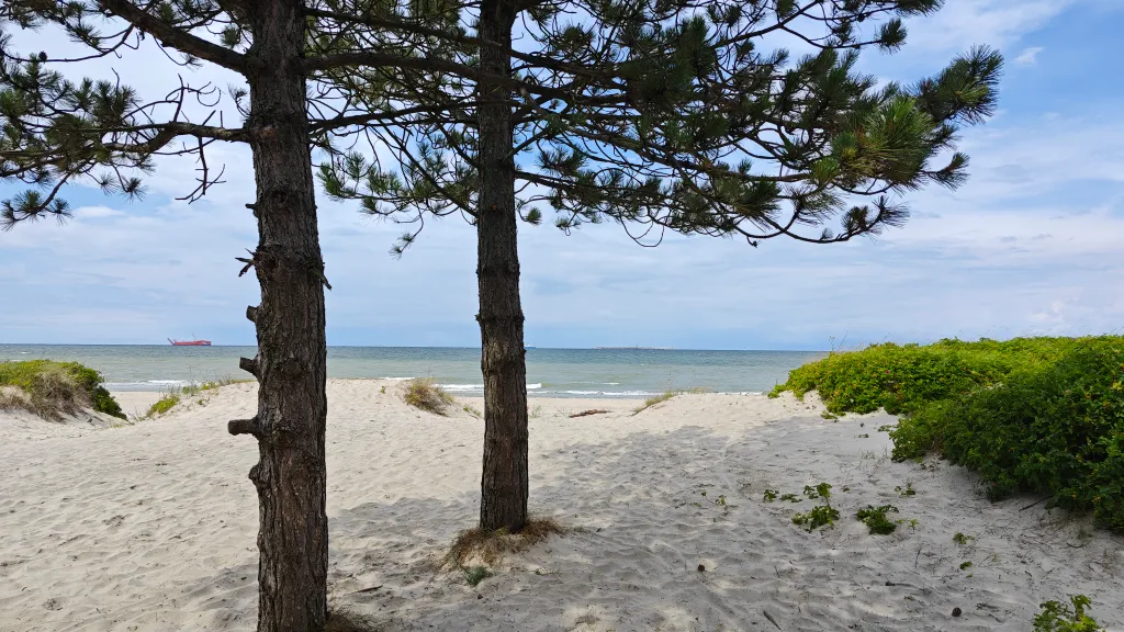 Квартира Квартира Уютный апартамент в Пионерском курорте — Пионерский