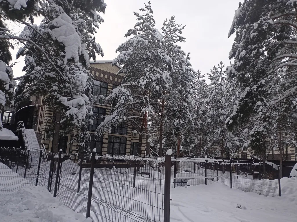 Апартамент с видом на лес