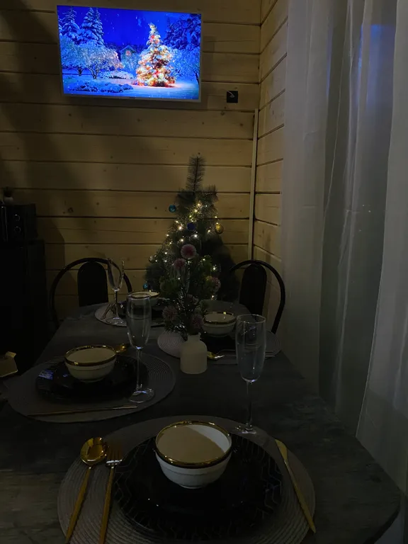 Дом с сауной, сауна безлимит