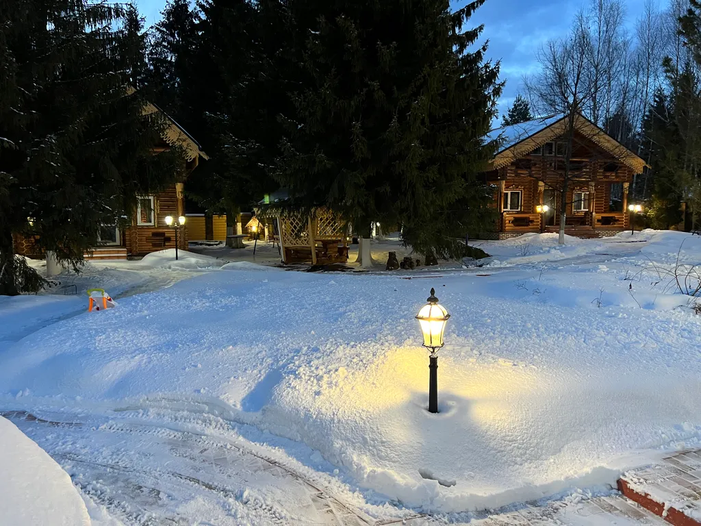 Терем в лесу