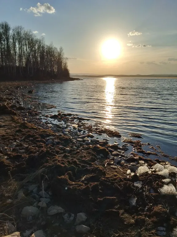 Дом в лесу на берегу озера Увильды