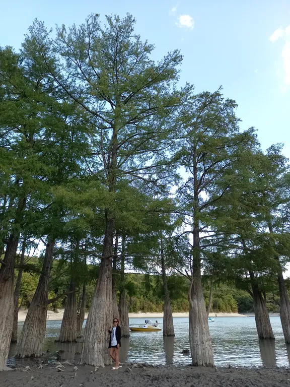 Отдых в уютном, уединенном домике на 6 сотках.