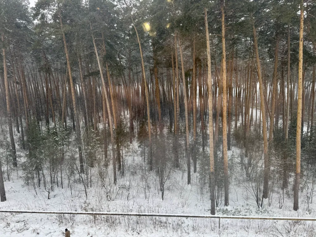 Чистая и светлая квартира с видом