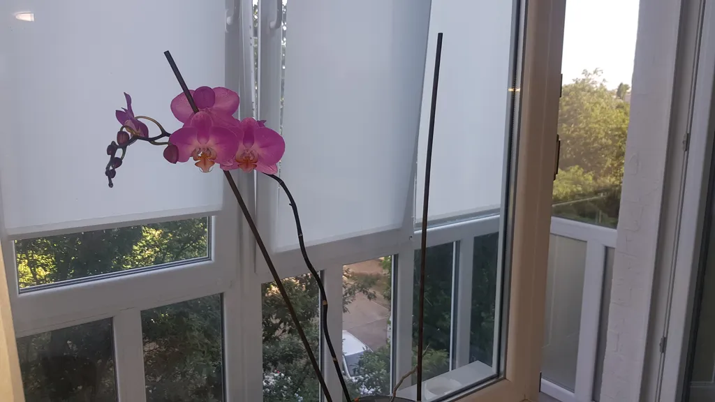 Апартамент в центре города