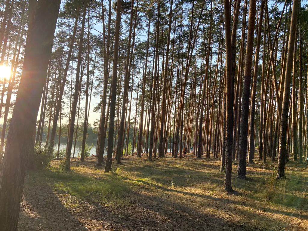 4-комнатный Дом