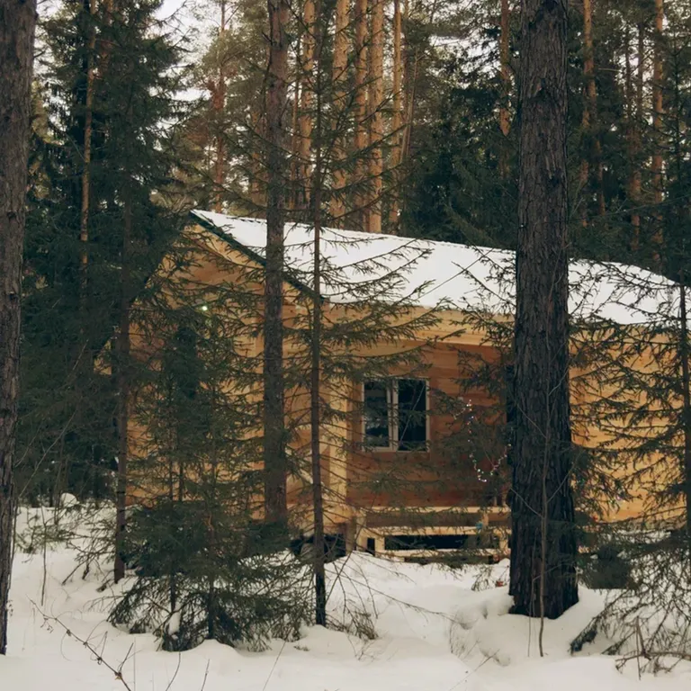 Дом в глухом лесу у реки до 6-ти человек