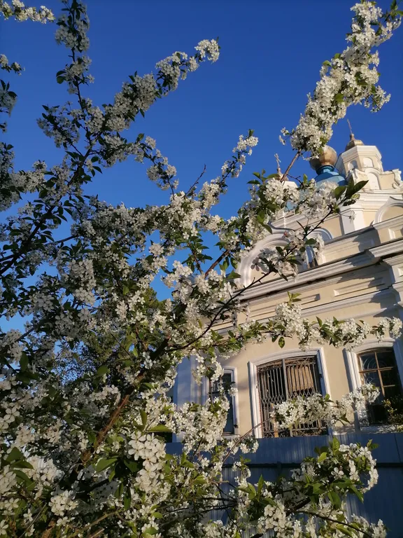 Коттедж Беркут дом для отдыха — Великий Новгород