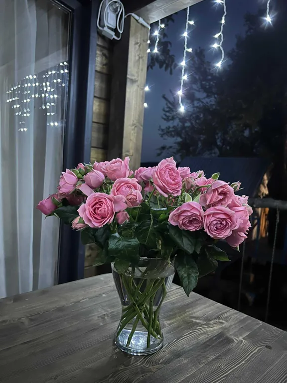 Уютные домики с баней и тёплой купелью