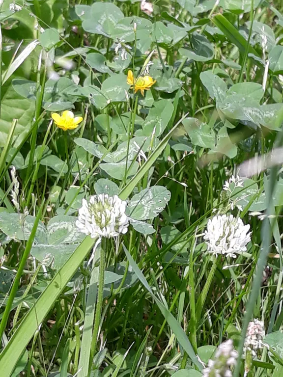 Видовая студия Выше Радуги