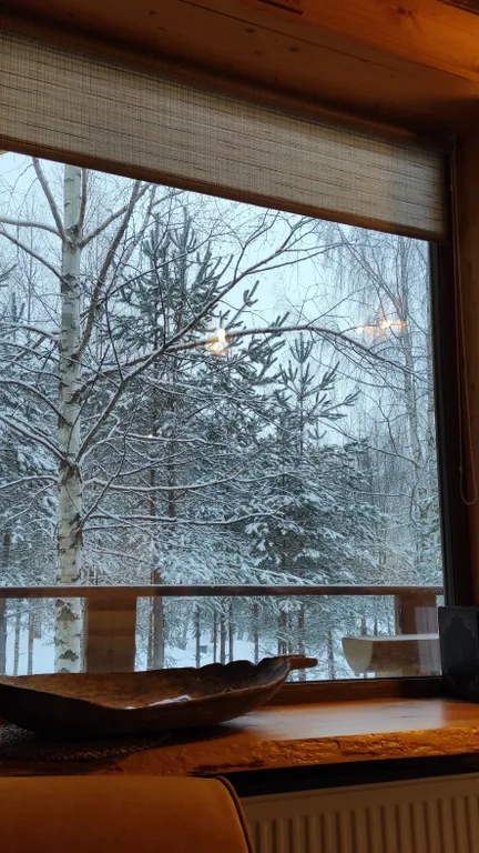 Комфортный дом на лесном участке у озера, рядом с городом