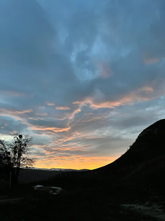 Домик на холме с видом на лес и горы