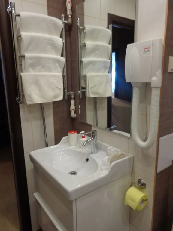 Квартира 1-комнатная Квартира — Луга